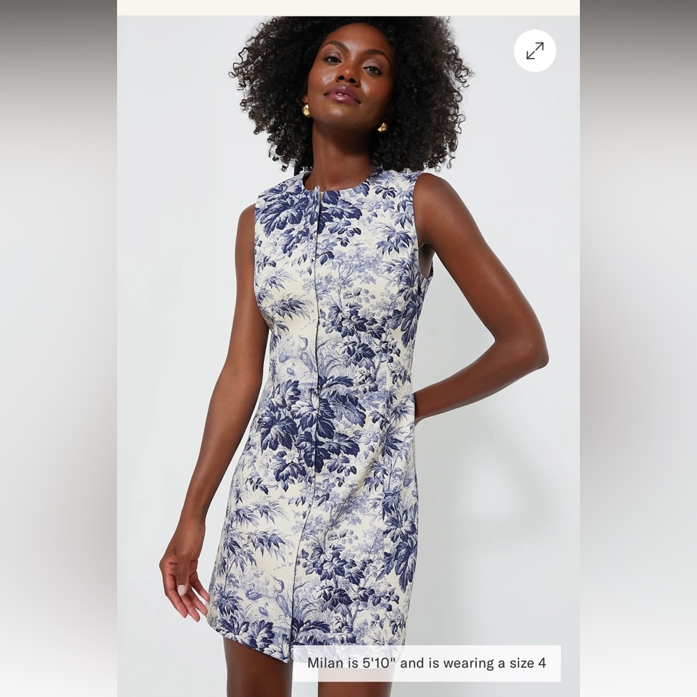 Tuckernuck Navy Toile Maison Dress